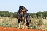 BEAUCERON 307